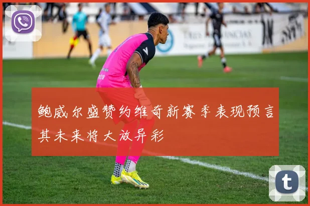 鲍威尔盛赞约维奇新赛季表现预言其未来将大放异彩